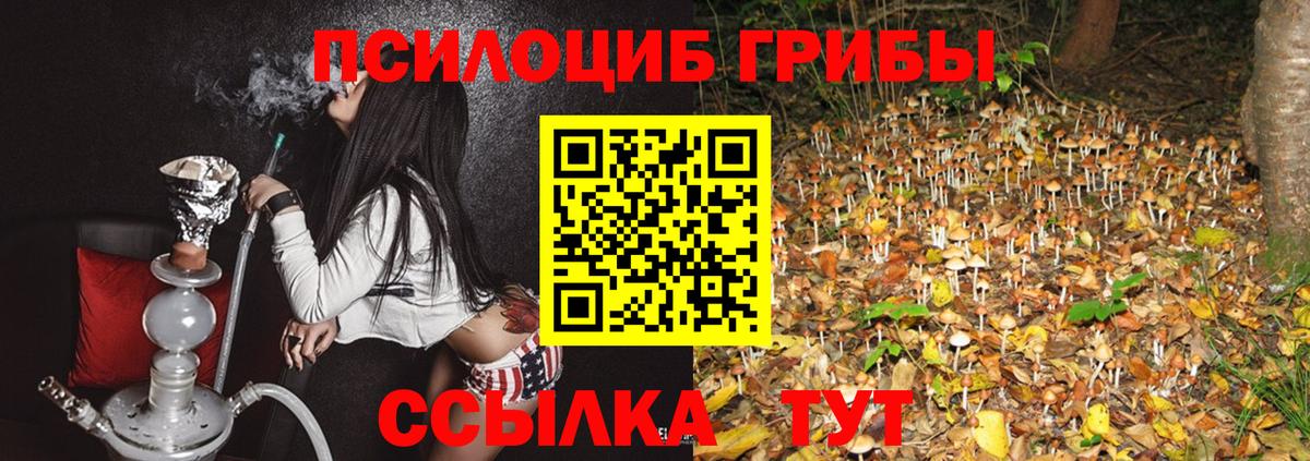 Галлюциногенные грибы ЛСД Нижнекамск