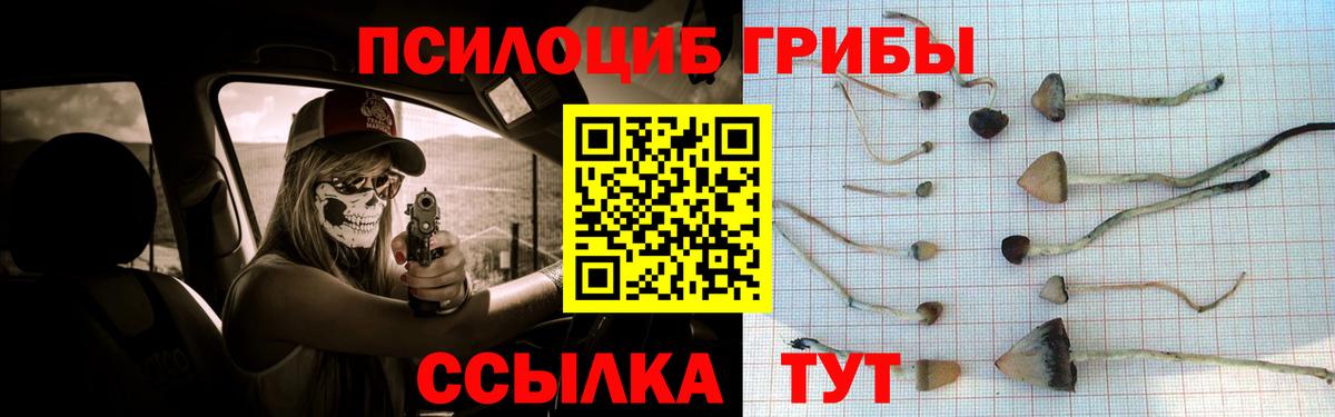Псилоцибиновые грибы прущие грибы  Псилоцибиновые грибы MAGIC MUSHROOMS  Вход с VPN  Нижнекамск 